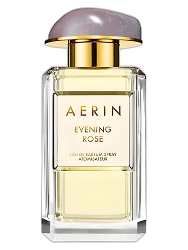 Aerin Evening Rose