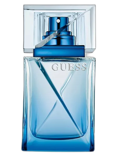 Guess Guess Night