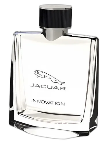 Jaguar Jaguar Innovation