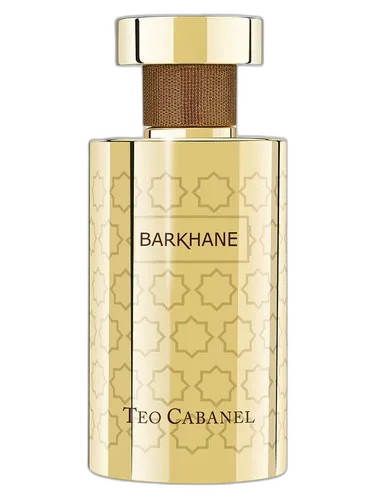 Teo Cabanel Barkhane