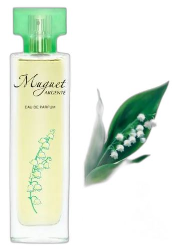 Новая Заря (The New Dawn) Ландыш серебристый (Muguet Argente)