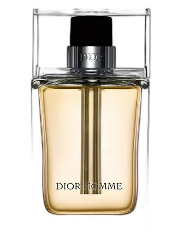 Dior Dior Homme 2005