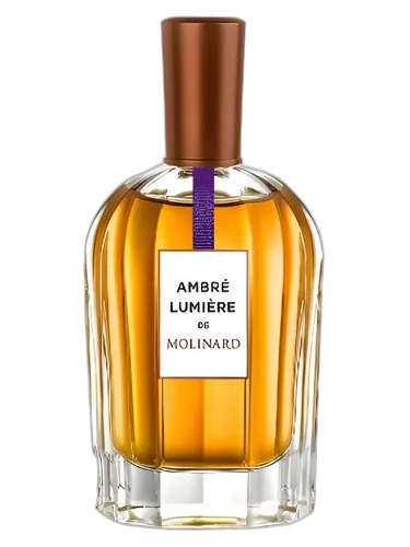 Molinard Ambre Lumiere