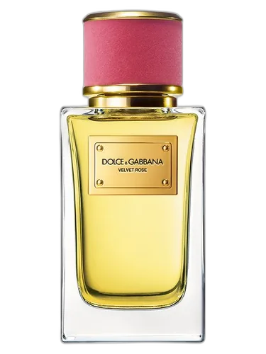 Dolce&Gabbana Velvet Rose