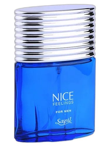 Sapil Nice Feelings