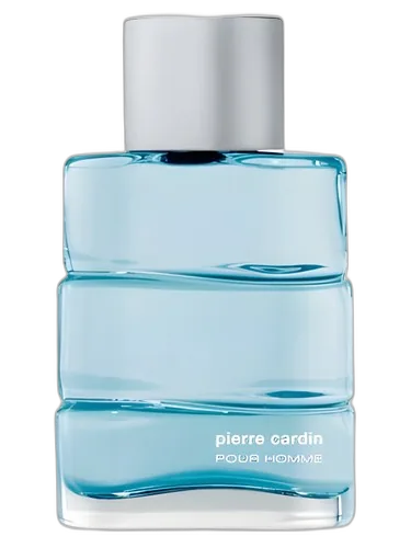 Pierre Cardin Pierre Cardin pour Homme