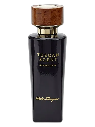 Salvatore Ferragamo Incense Suede