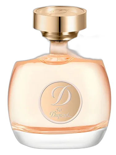 S.T. Dupont So Dupont Pour Femme