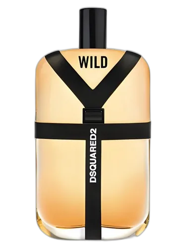 DSQUARED² Wild