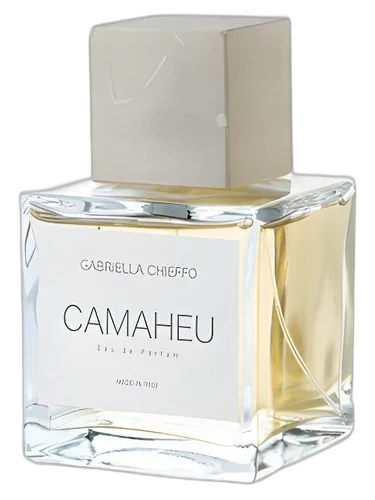Maison Gabriella Chieffo Camaheu