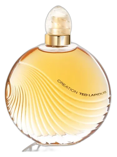 Ted Lapidus Creation