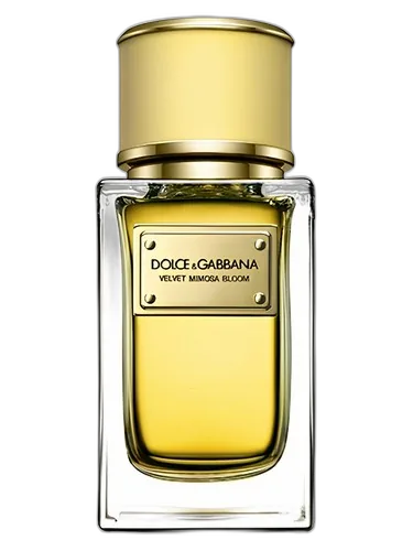 Dolce&Gabbana Velvet Mimosa Bloom