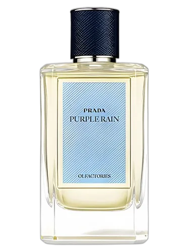 Prada Purple Rain