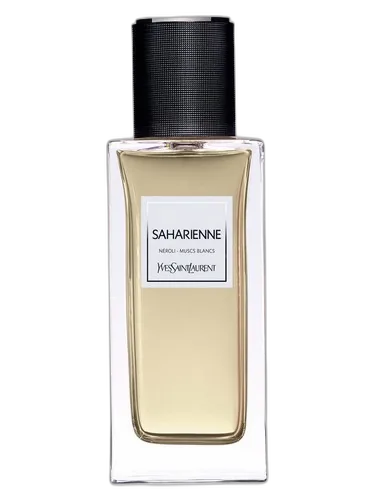 Yves Saint Laurent Saharienne