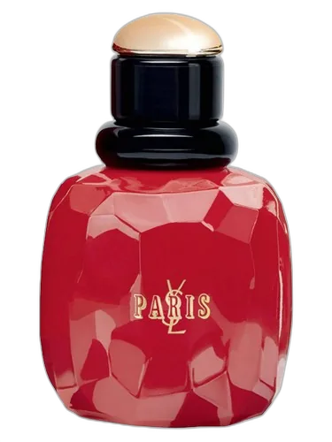 Yves Saint Laurent Paris Rebel Collector 2015