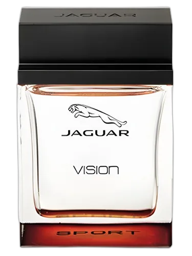 Jaguar Jaguar Vision Sport