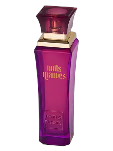 Paris Elysees Nuits Mauves