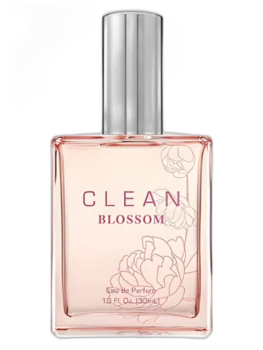 Clean Clean Blossom