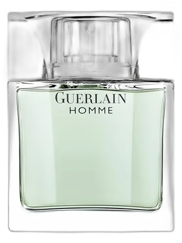 Guerlain Guerlain Homme
