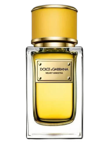 Dolce&Gabbana Velvet Ginestra