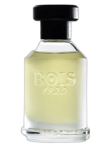 Bois 1920 Rosa 23