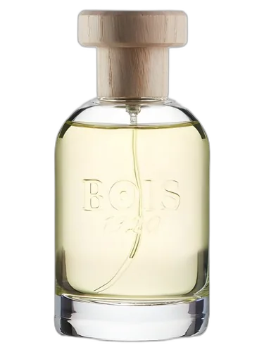 Bois 1920 Magia