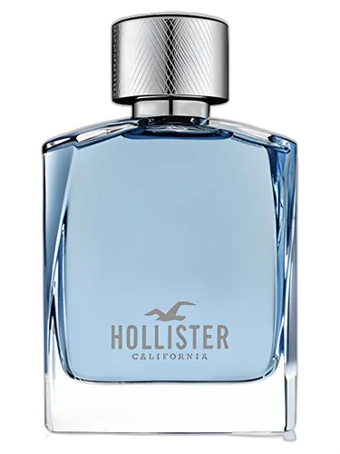 Hollister Hollister Wave For Him