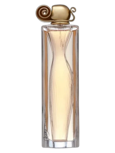 Givenchy Organza