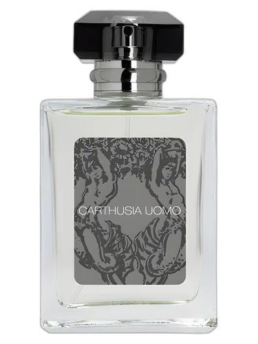 Carthusia Carthusia Uomo