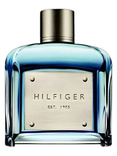Tommy Hilfiger Hilfiger Est. 1985