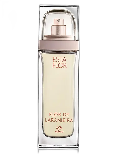 Natura Esta Flor Flor de Laranjeira
