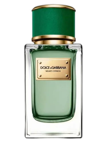 Dolce&Gabbana Velvet Cypress