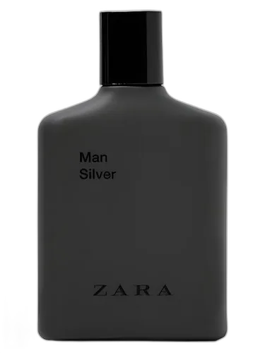 Zara Man Silver 2017