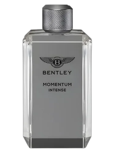 Bentley Momentum Intense