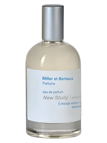 Miller et Bertaux New Study (Postcard)