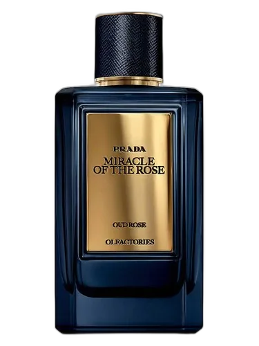 Prada Mirages Miracle of the Rose