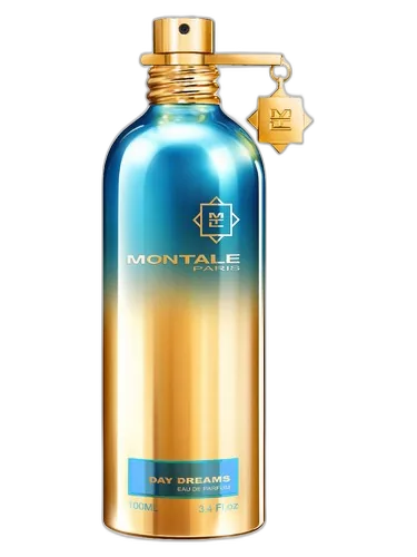 Montale Day Dreams