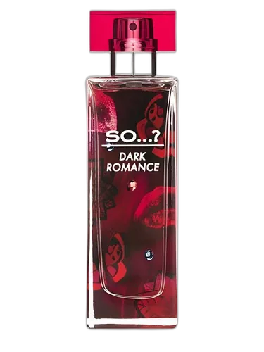 So...? So...? Dark Romance