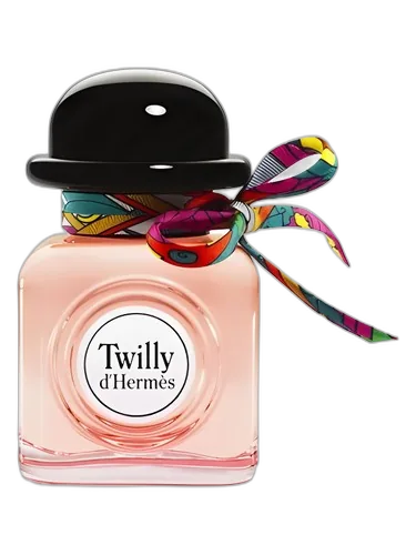 Hermès Twilly d’Hermès