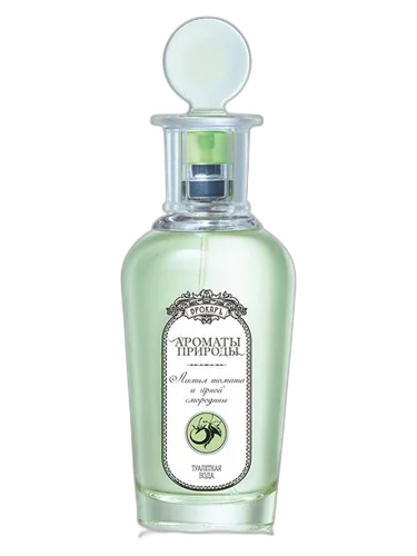 Brocard Листья томата и черной смородины - Tomato and Black Currant Leaves