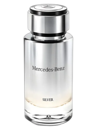 Mercedes-Benz Mercedes-Benz Silver