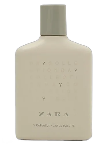 Zara Y Collection