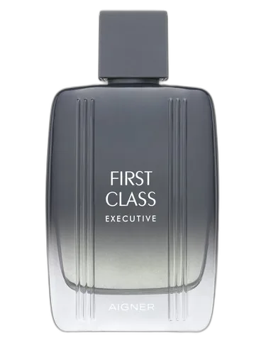 Etienne Aigner First Class Executive