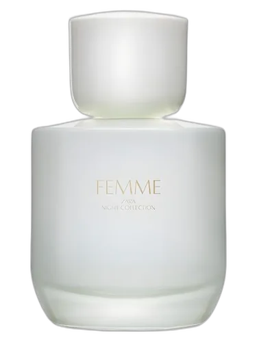 Zara Zara Femme 2018