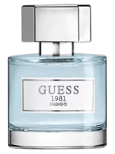 Guess Guess 1981 Indigo
