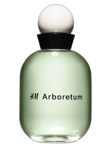 H&M H&M Arboretum