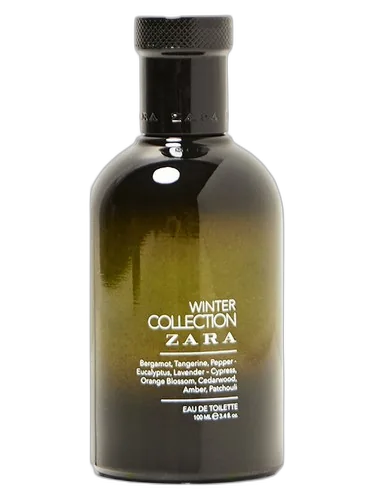 Zara Winter Collection