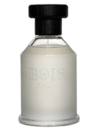 Bois 1920 Sopra Il Mare
