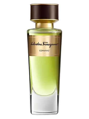 Salvatore Ferragamo Convivio