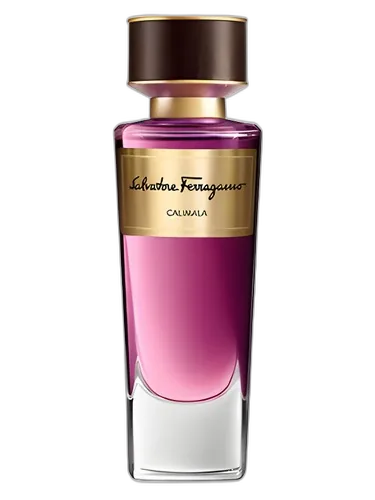 Salvatore Ferragamo Calimala